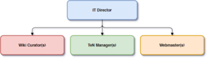 IT Structure Graphic.png